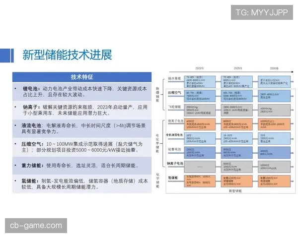 关于加亚市发展前景的分析与展望