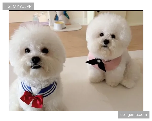 常园家的狗都比你自律